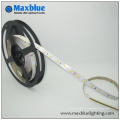 Low Light DC12V Waterproof 3528 5050 LED Strip Light